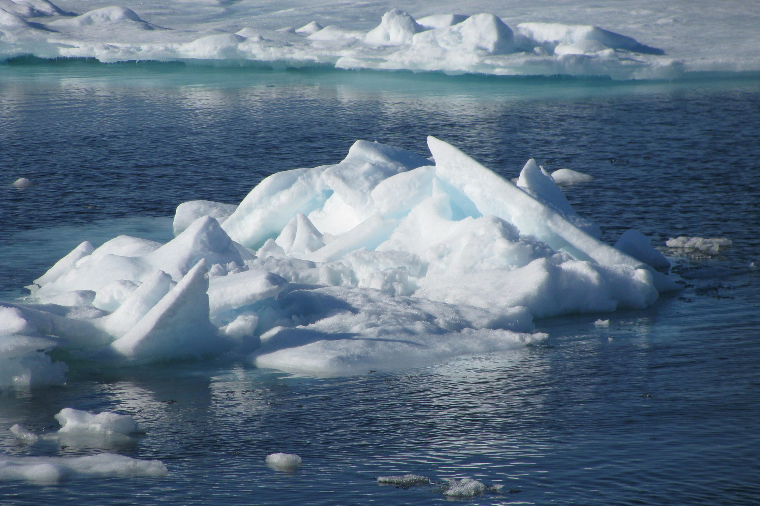 We catch our coldwater prawns in the crystal-clear Arctic Ocean