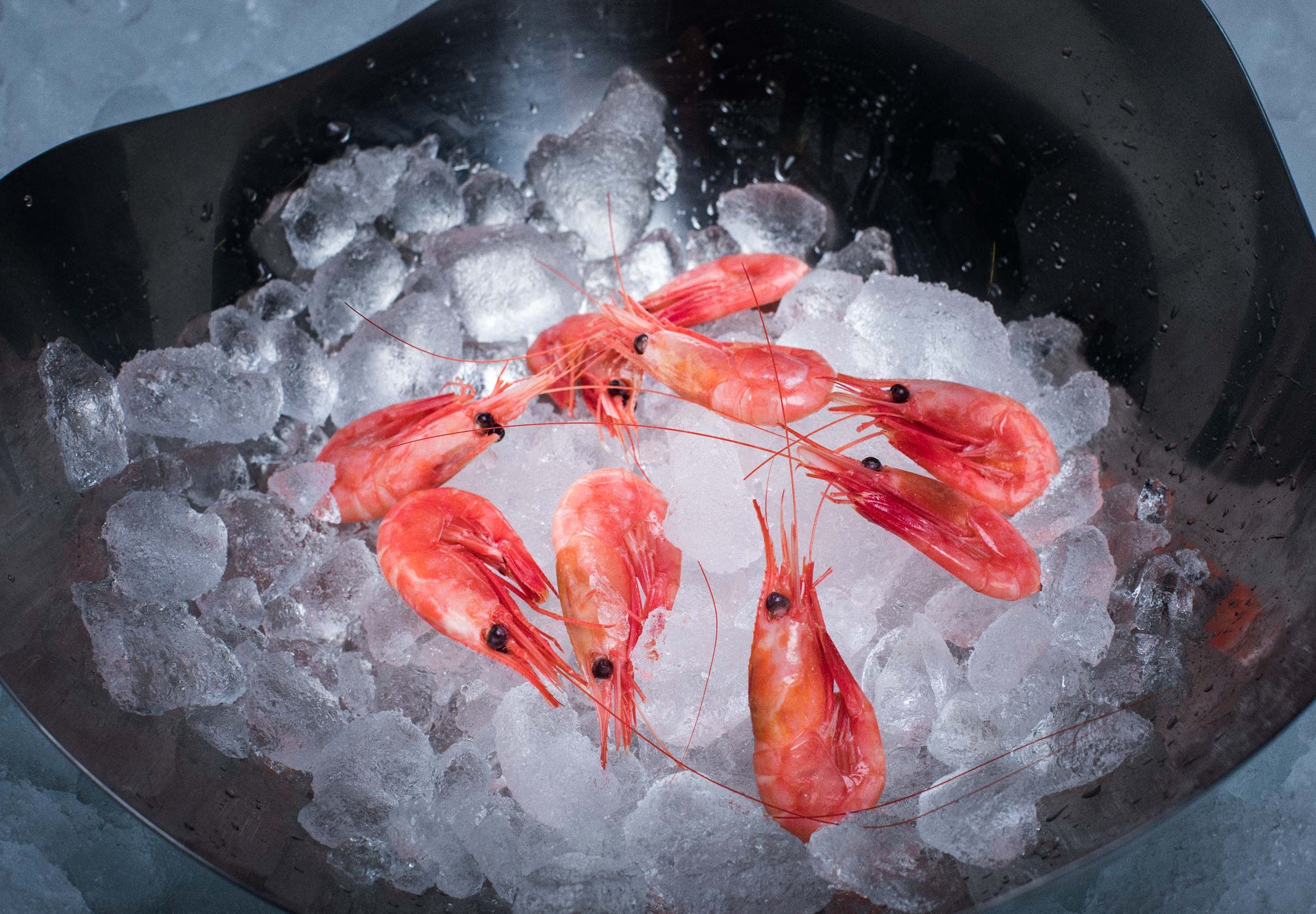 Ocean Seafood - wild caught coldwater shell-on prawns 