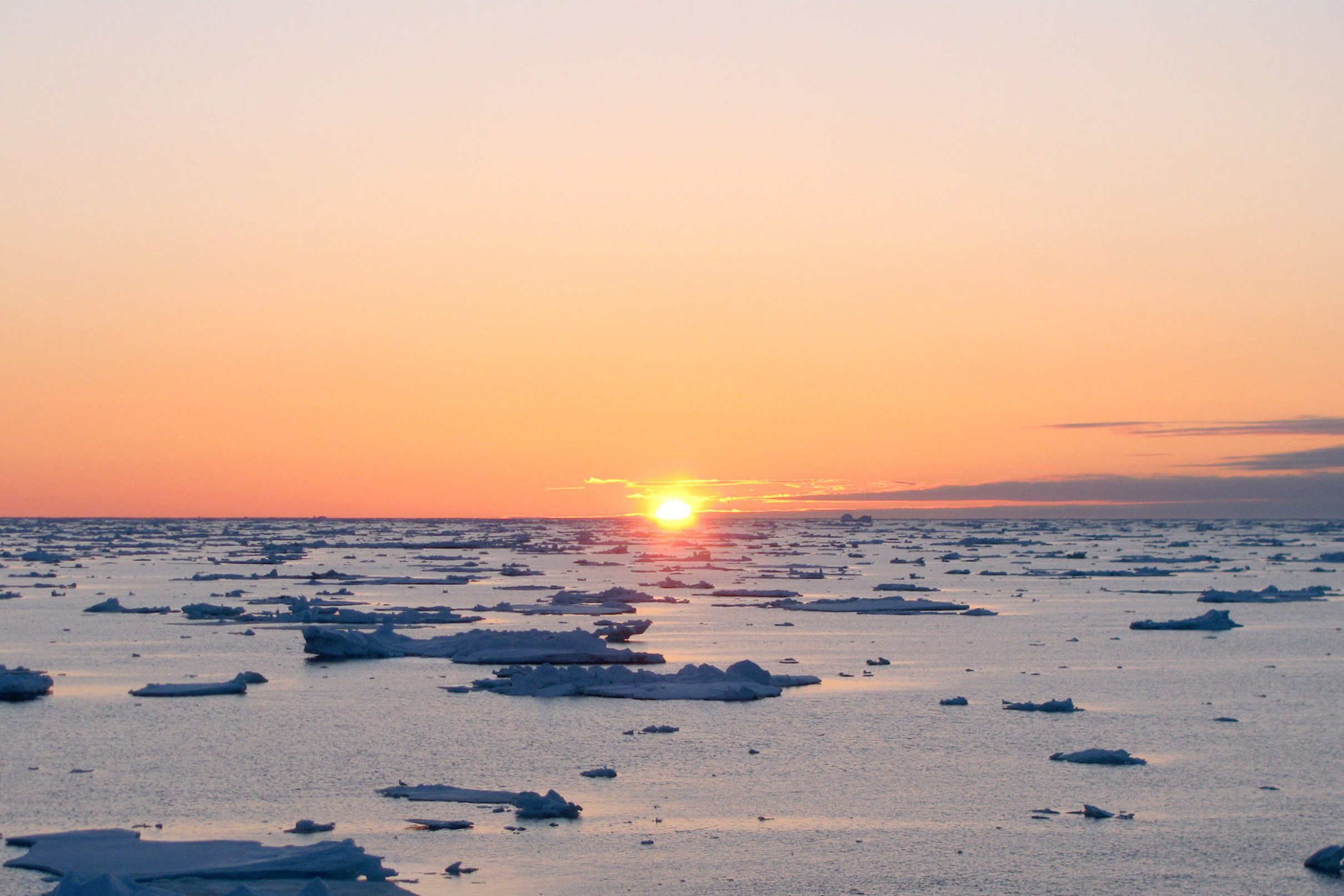 Prawns finshing at the Arctic Ocean 